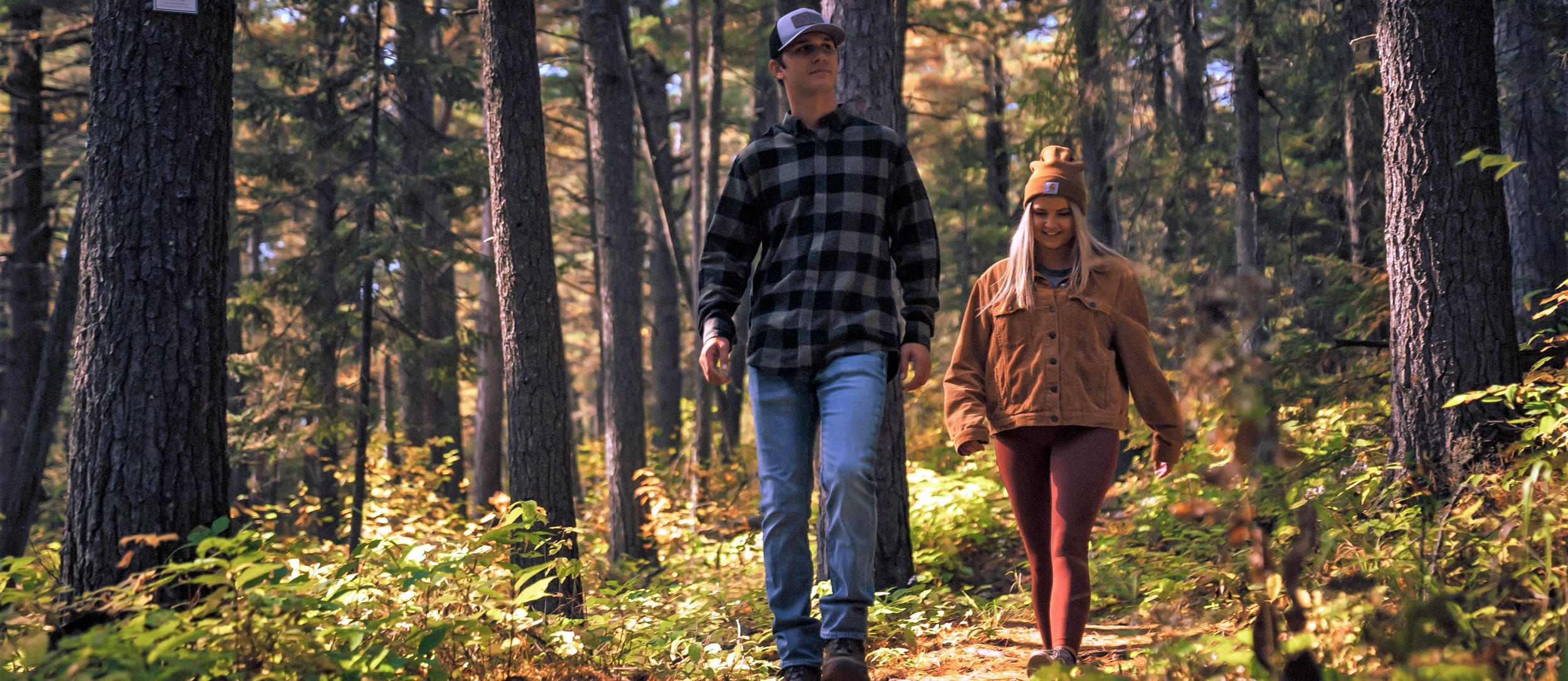 northshorecampingco superiorhikingtrail header