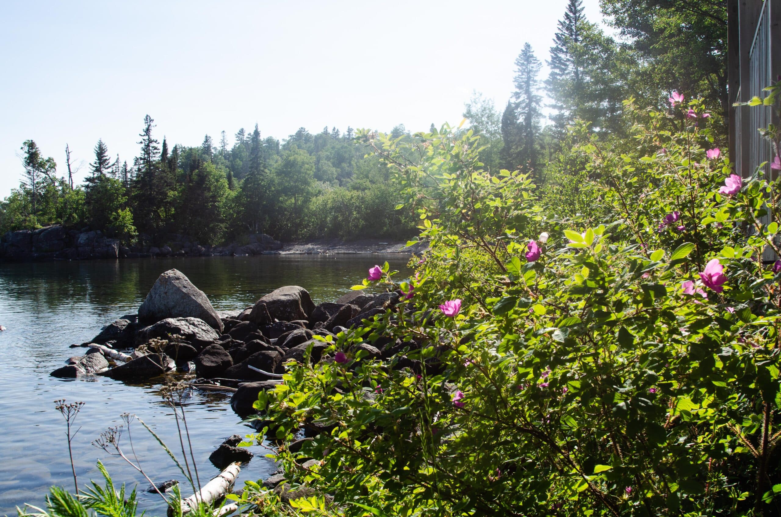 pacific reef shore