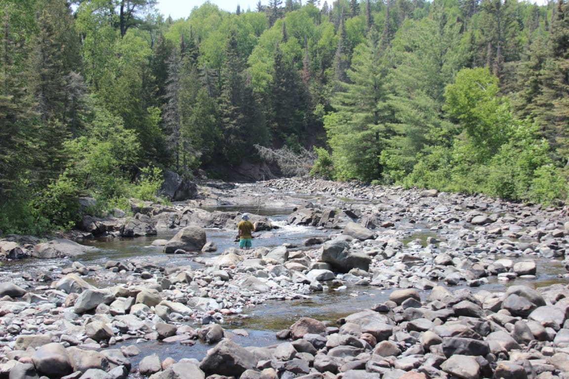 Person exploring rocky forest riverbed.