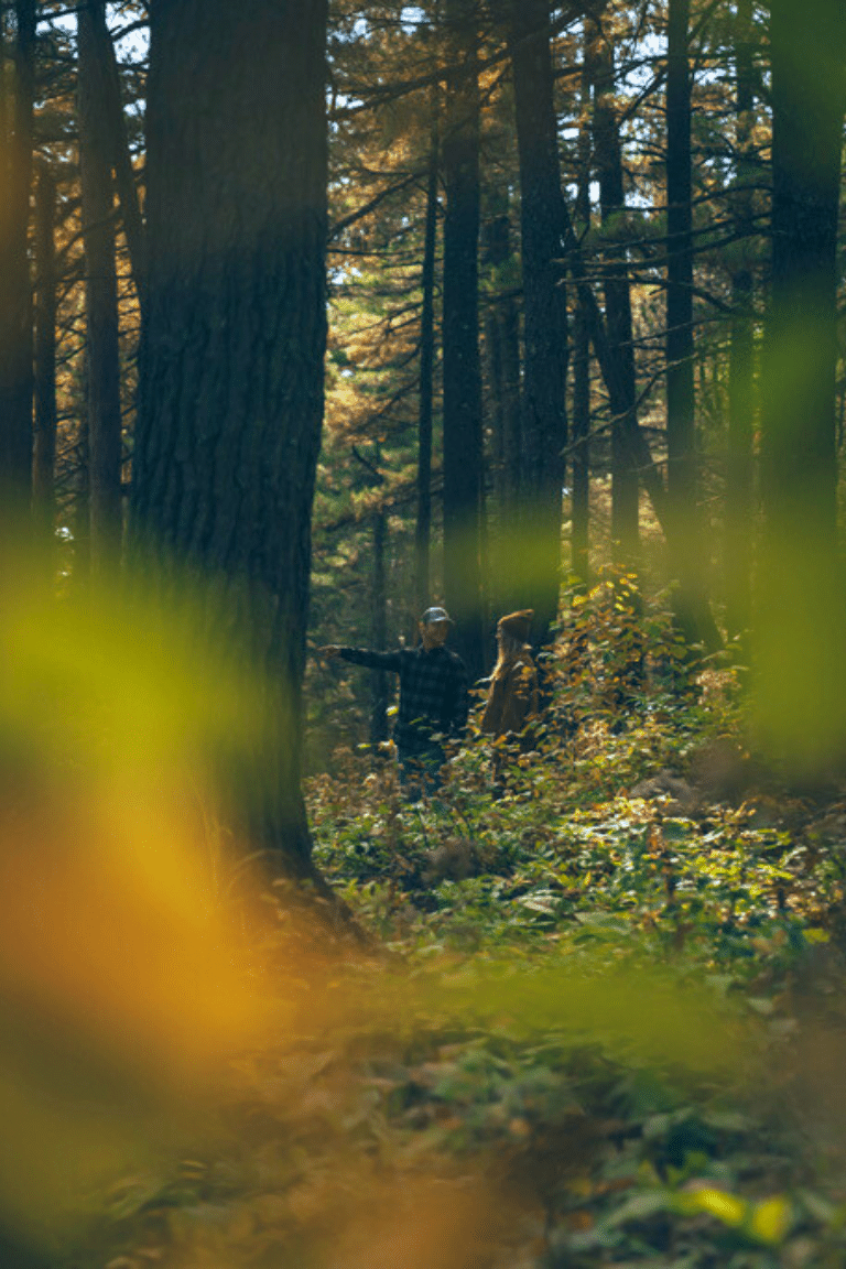 northshorecamping 2