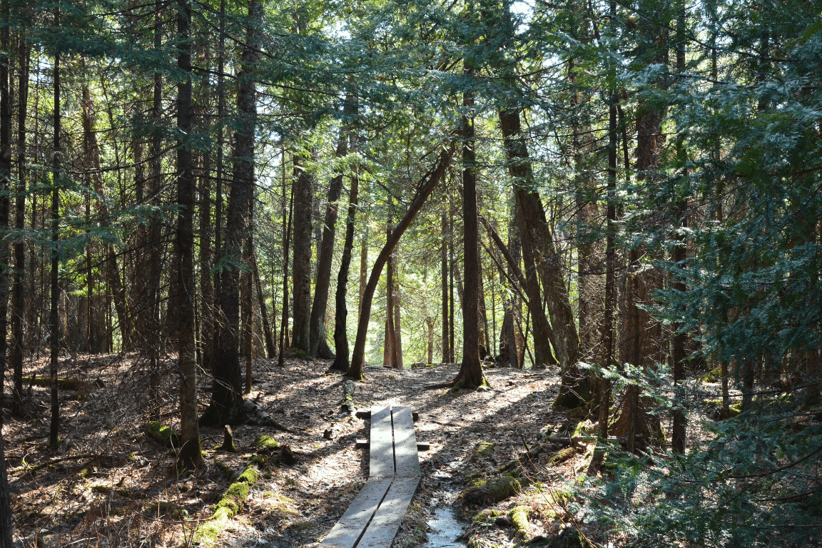 Superior hiking trail