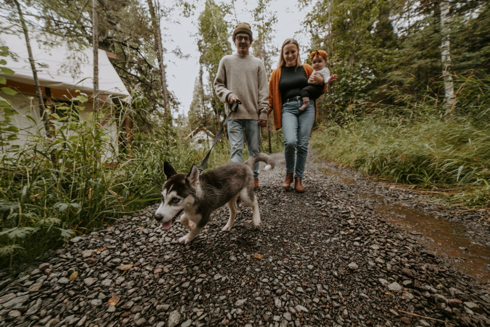 Family with dog walking on forest trail.