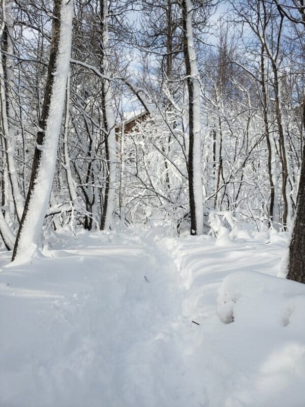 Winter Glamping at North Shore Camping Co. in Two Harbors, MN