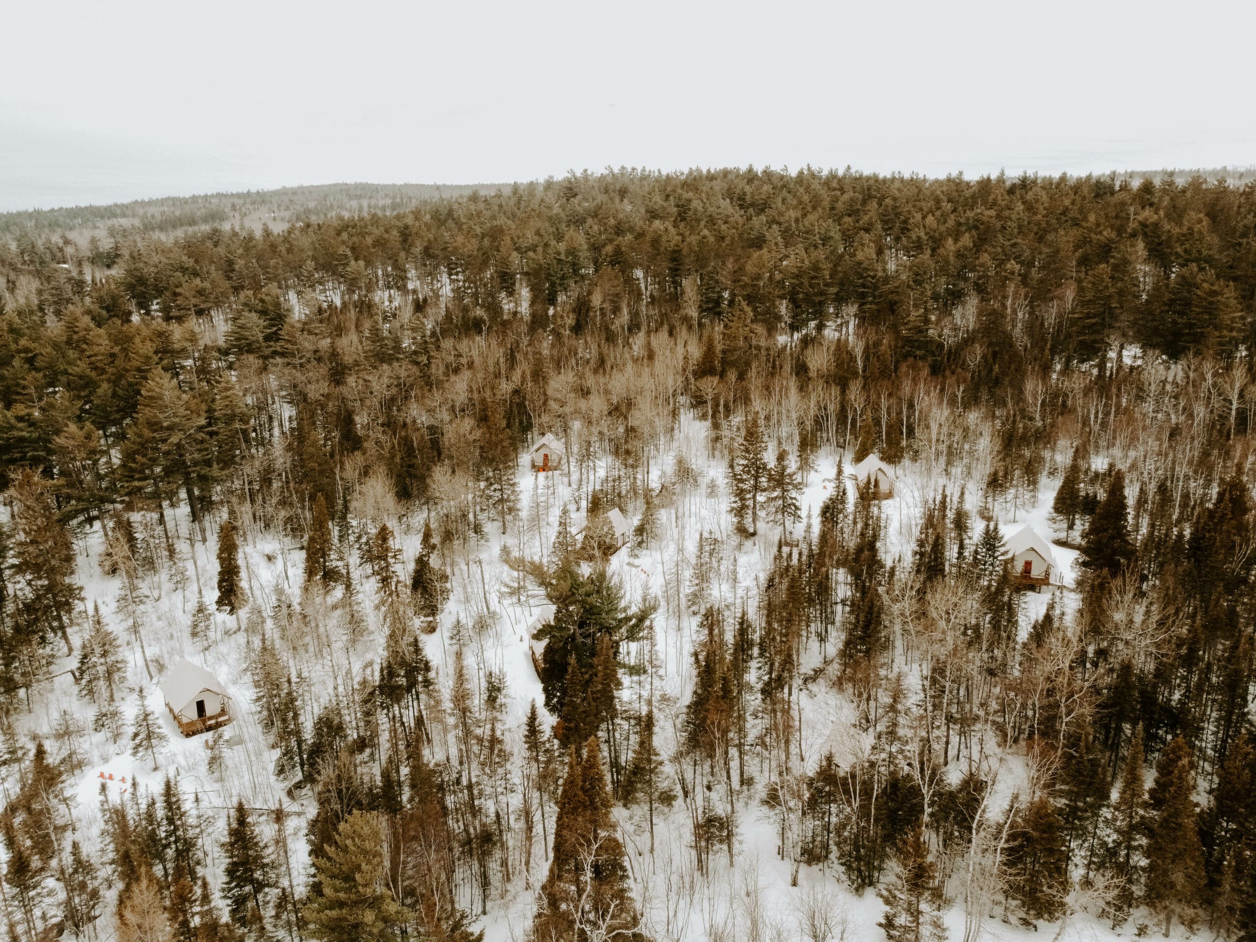 Snowy forest with secluded cabins from above.