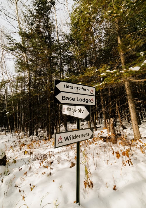 Trail signs in snowy forest with directional arrows.