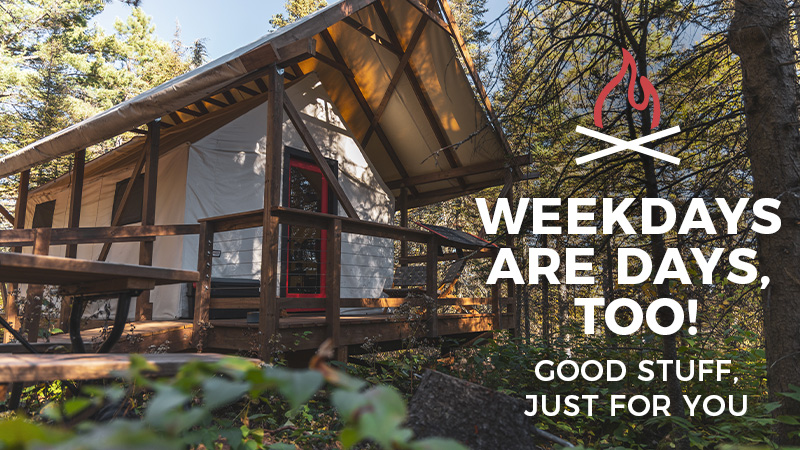 Cozy cabin in the woods with weekdays message.