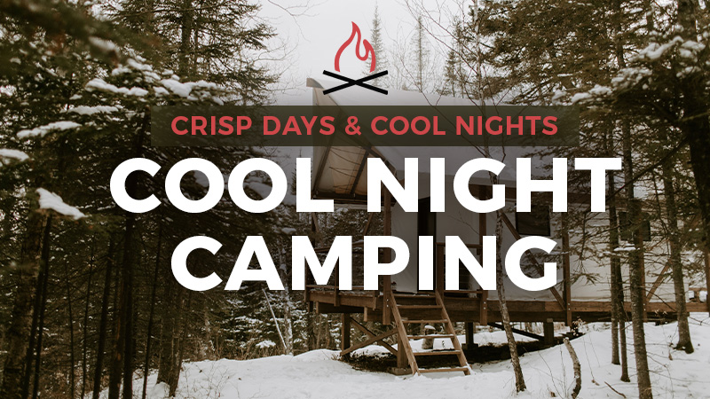 Cool night camping in snowy forest.
