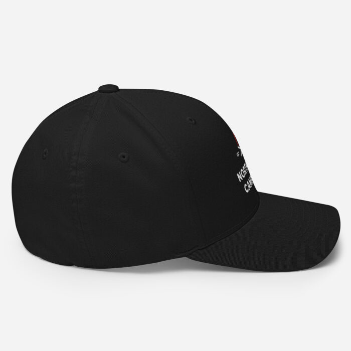 Black baseball cap with side embroidery