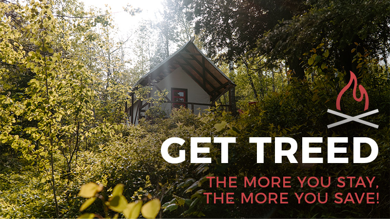 Cabin in forest with discount offer.