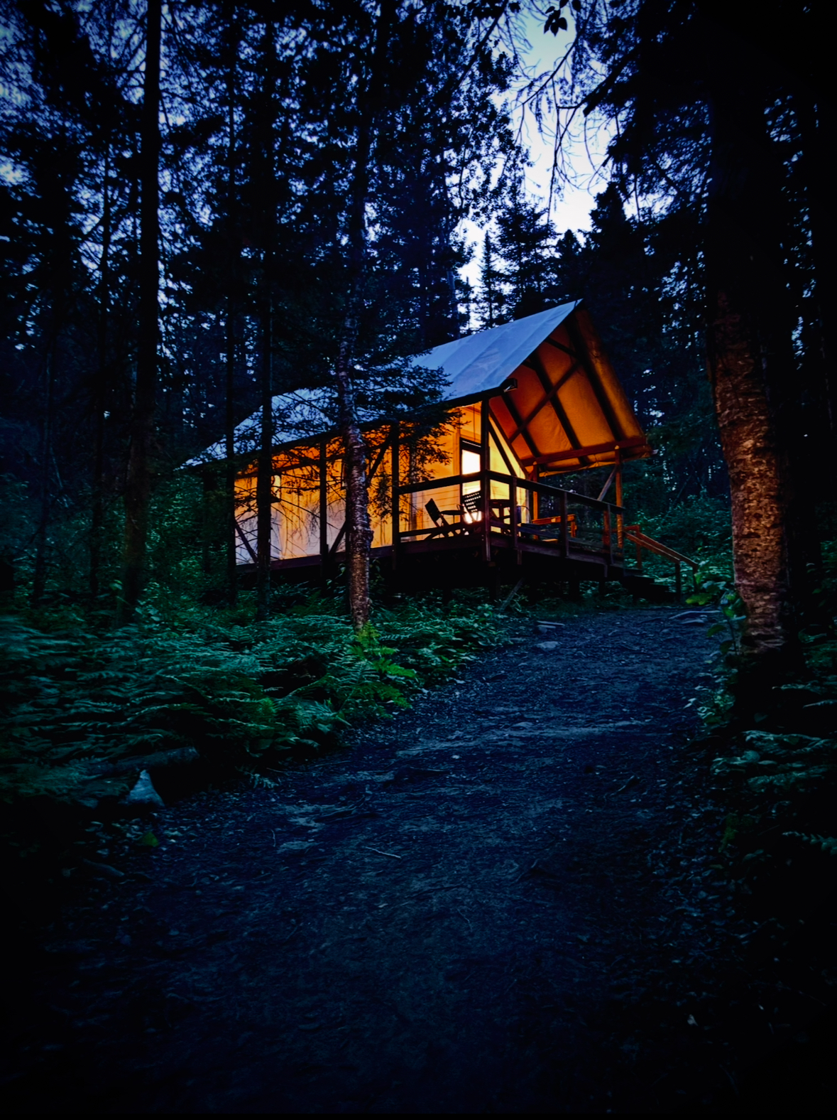 night talt Cozy cabin illuminated in dark forest setting.