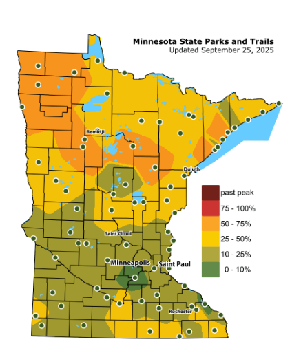 dnr fallmap 9 26 2025 Minnesota fall color map for September 2025.