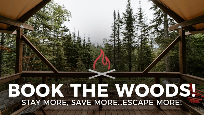 Rustic forest cabin inviting reservation offer