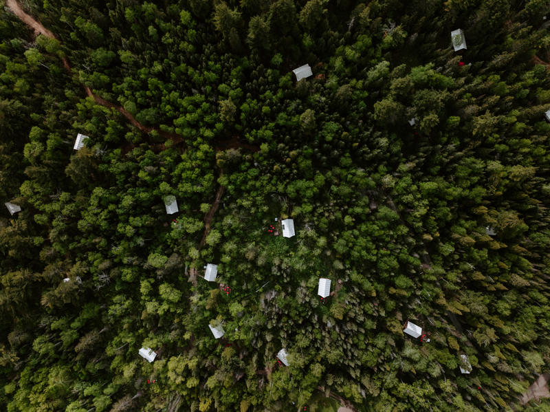 Aerial view of forest with scattered cabins.