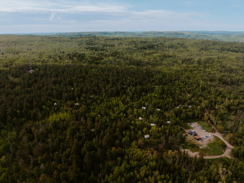 Aerial view of dense forest landscape with scattered buildings.