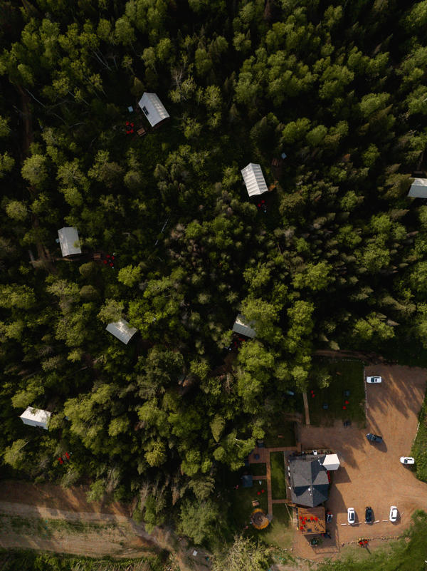 Aerial view of cabins in a forest clearing.