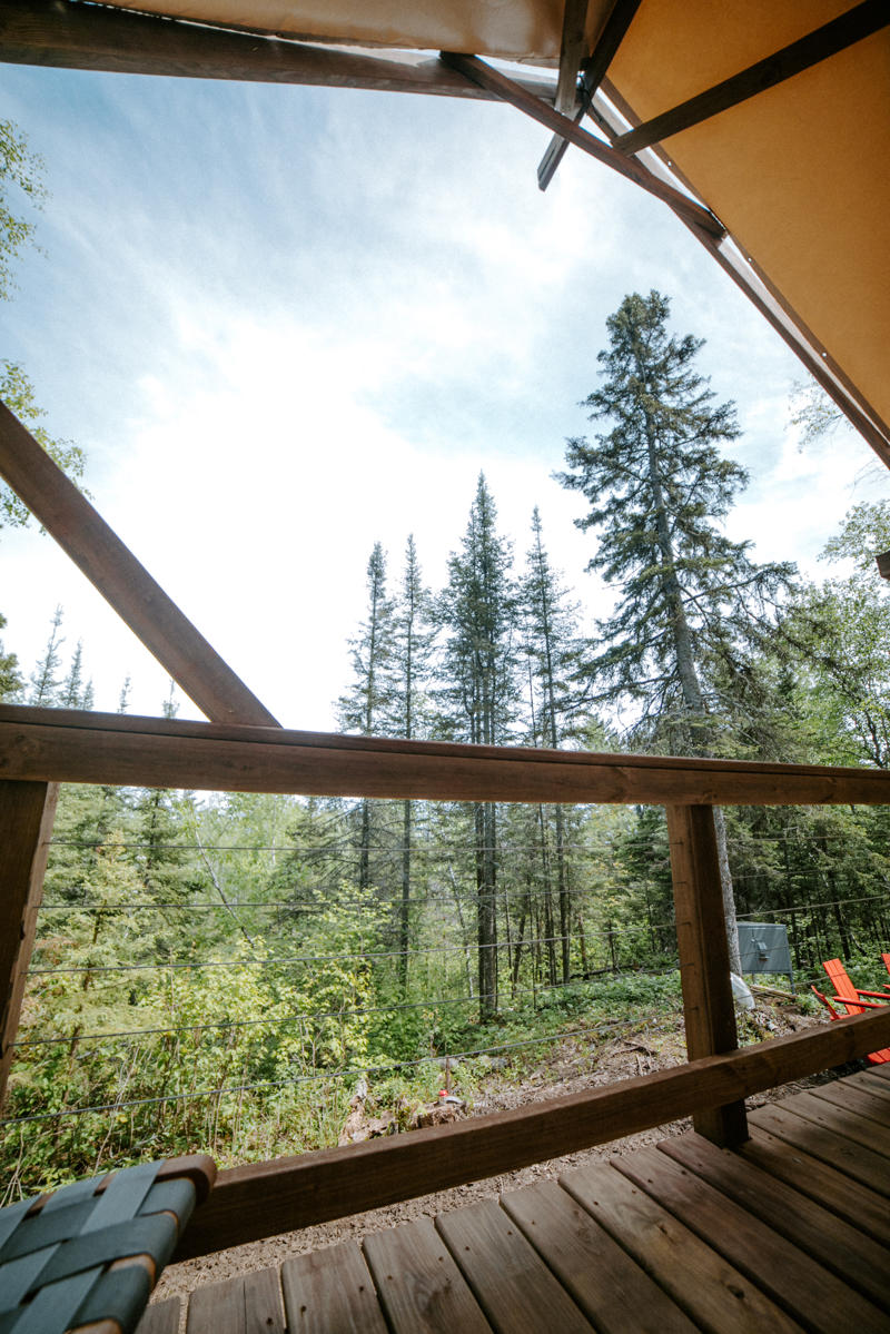 Forest view from wooden cabin deck
