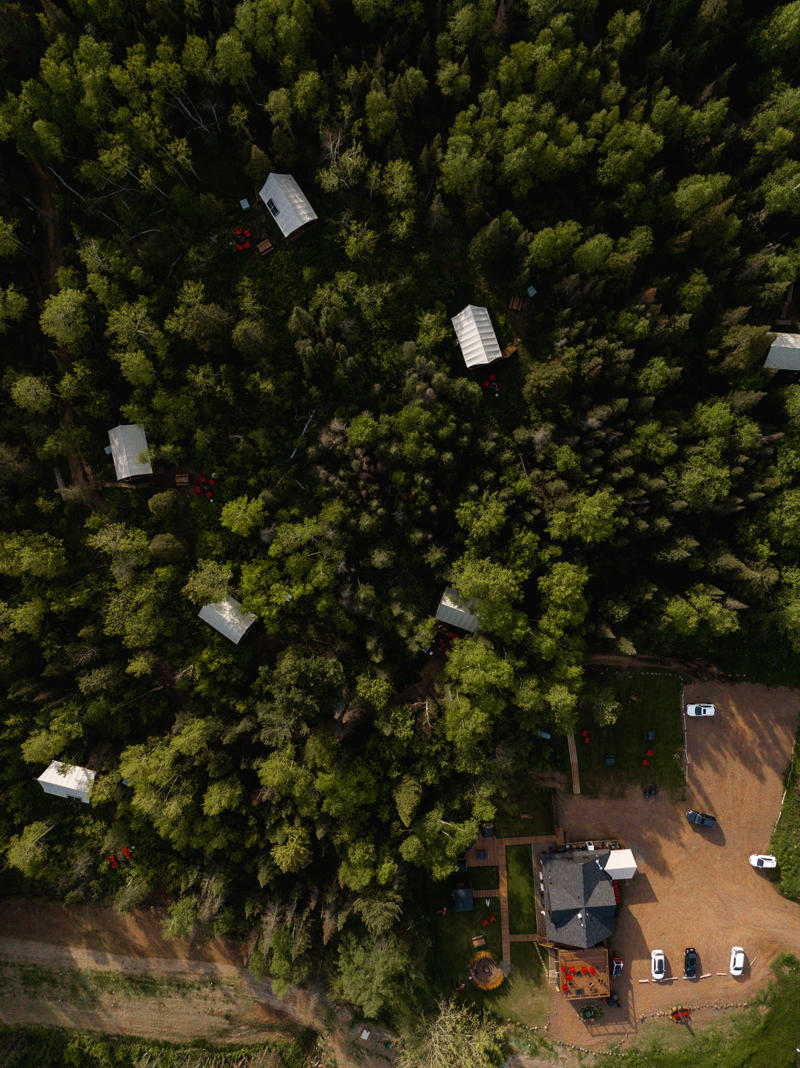 Aerial view of forest with scattered houses.