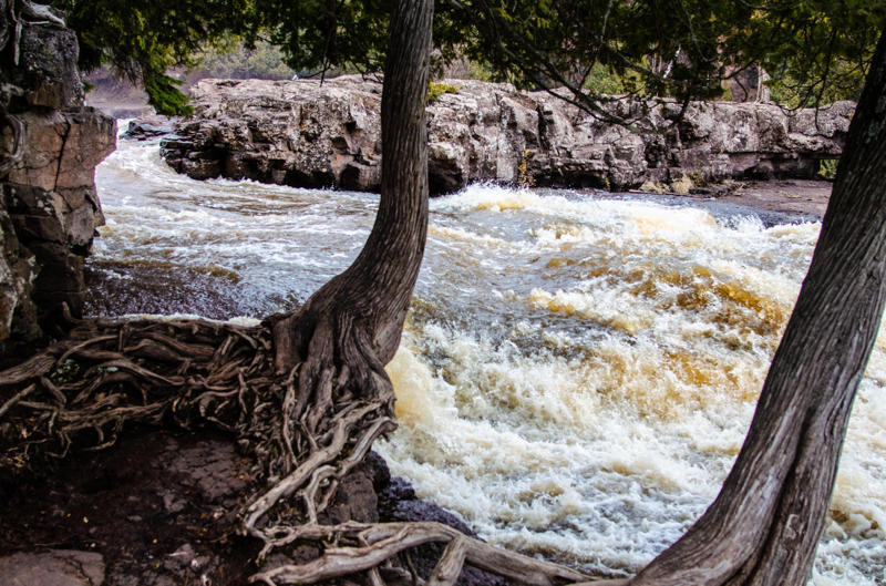 dsc 0011 Rushing river with rocky banks and tree roots