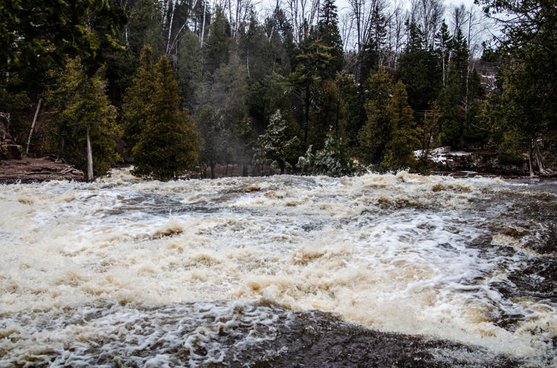 dsc 0013 Rushing river with surrounding forest