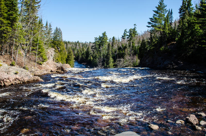 Flowing river through forested landscape with trees