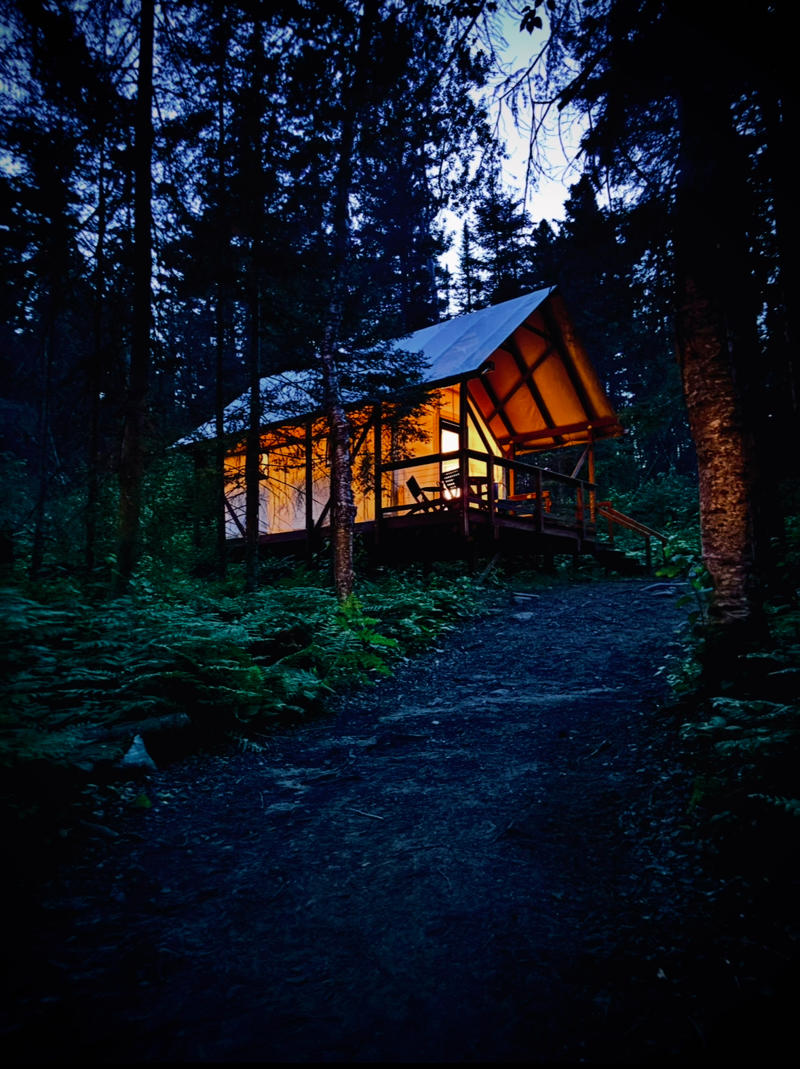 Rustic cabin glowing in forest during evening.