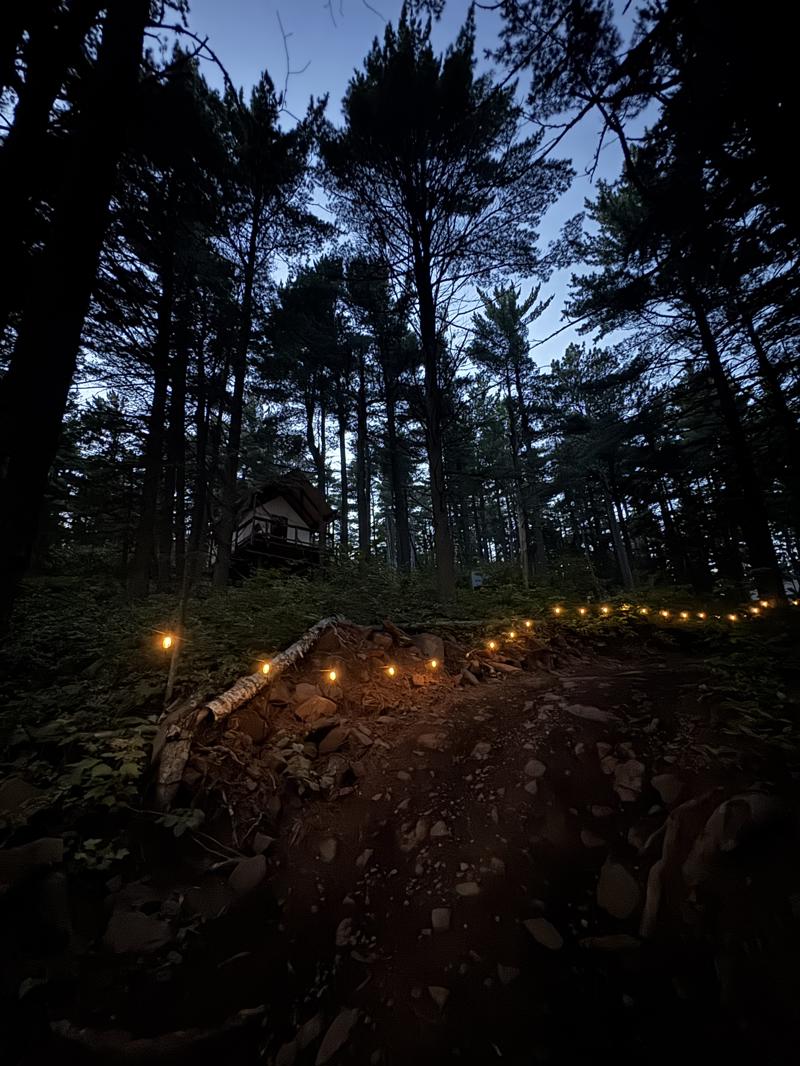 Forest path with string lights at dusk.
