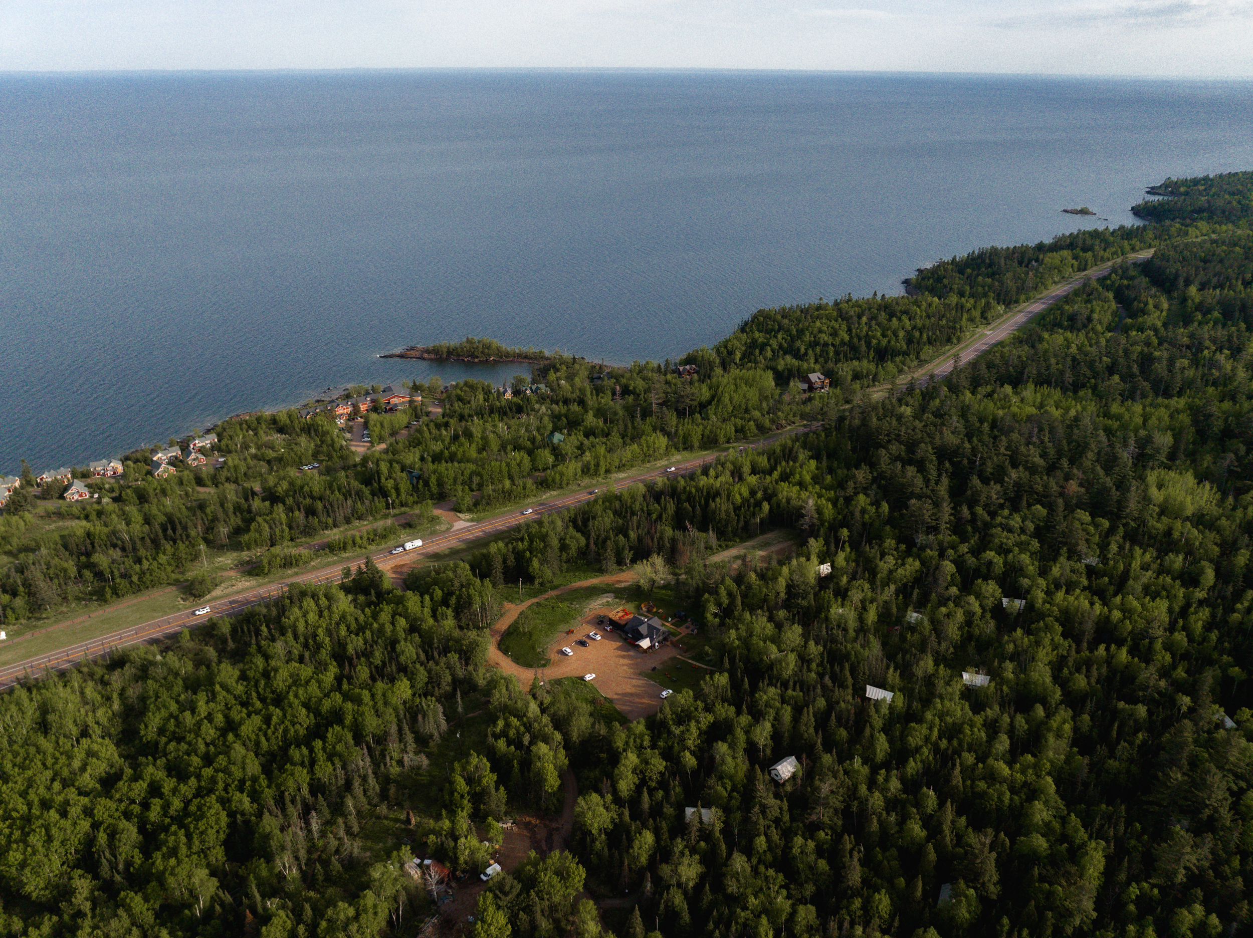Forest and coastline aerial view