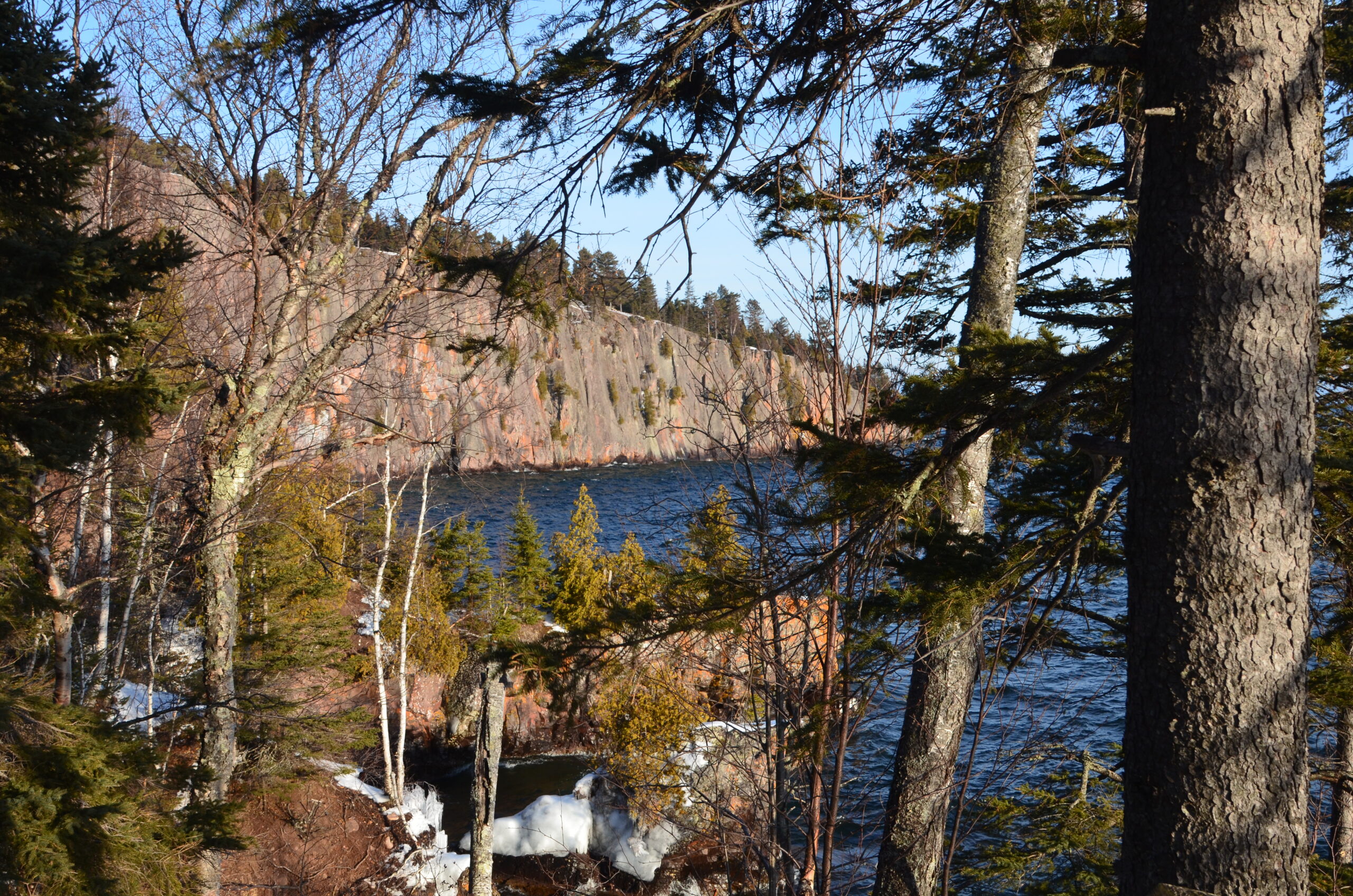 dsc 0044 Forest overlooking rocky lake shoreline in winter.