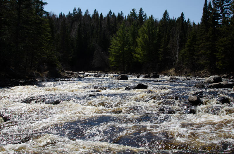 dsc 0220 Rushing river with forested bank and trees.