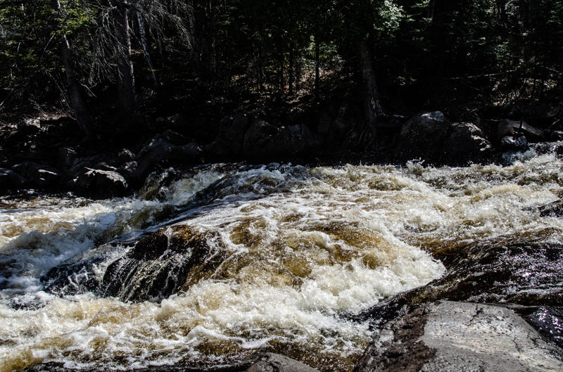 dsc 0223 Flowing river with rapids in forest setting.
