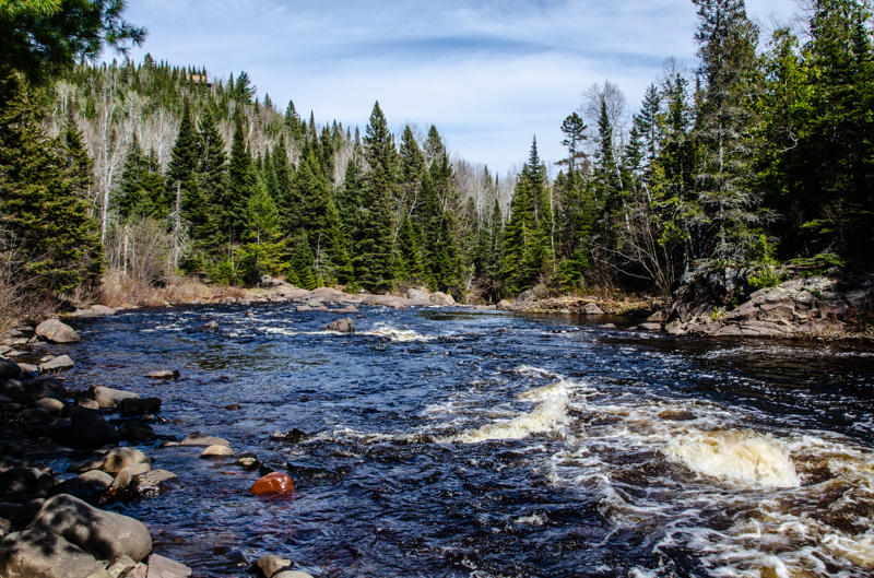 dsc 0236 Flowing river through forest under blue sky.