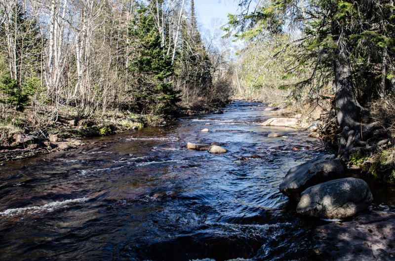 dsc 0292 Forest stream with rocks and trees.