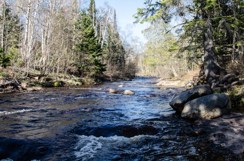 dsc 0293 Flowing forest stream with rocks and trees