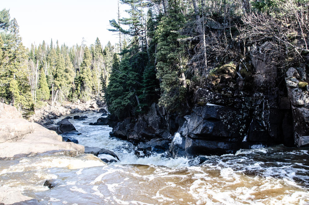 Forest river flowing over rocks in sunlight.