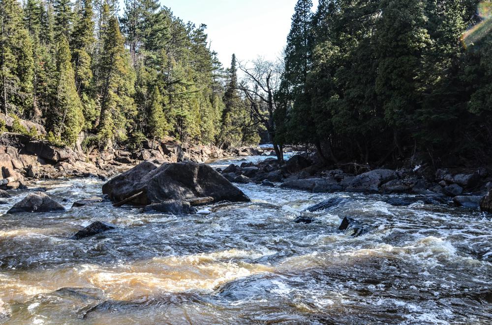 Forest river with large rocks and trees.