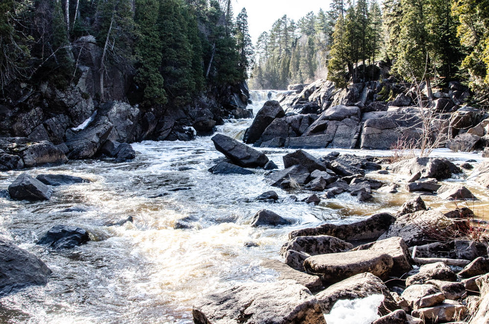 Rocky river with forested banks and rapids
