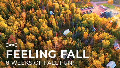 Aerial view of colorful autumn forest with cabins